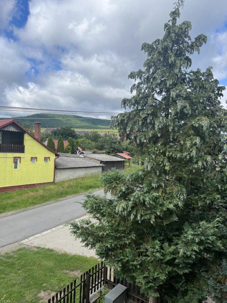 Detached house for sale Nagybárkány Nógrád megye Real Estate in